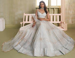 Magnetic Grey Color Net Fabric Party Wear Lehenga