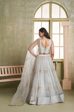 Magnetic Grey Color Net Fabric Party Wear Lehenga
