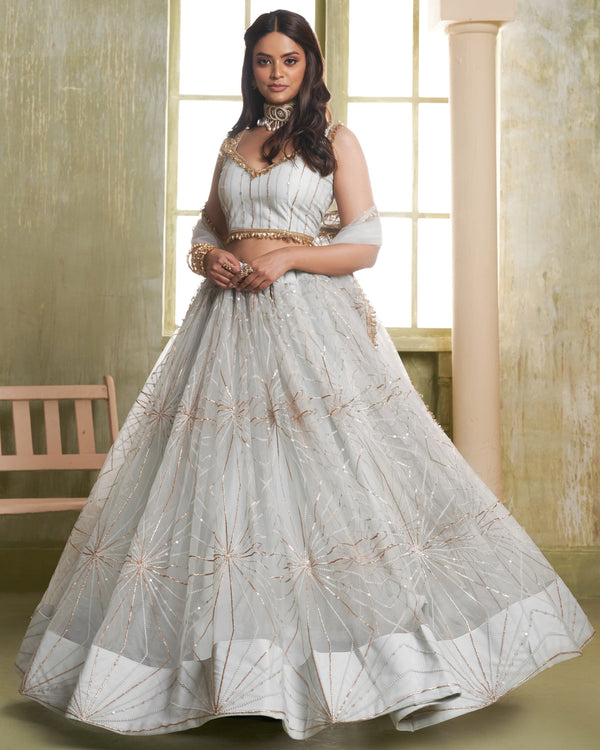 Magnetic Grey Color Net Fabric Party Wear Lehenga