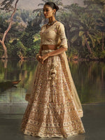 Lovely Cream Color Net Fabric Party Wear Lehenga