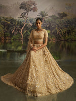 Lovely Cream Color Net Fabric Party Wear Lehenga