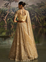 Lovely Cream Color Net Fabric Party Wear Lehenga