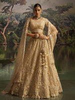 Lovely Cream Color Net Fabric Party Wear Lehenga