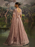 Lovely Wine Color Net Fabric Party Wear Lehenga