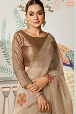 Amazing Chiku Color Organza Fabric Partywear Saree