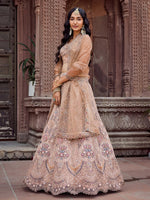 Charming Beige Color Net Fabric Party Wear Lehenga