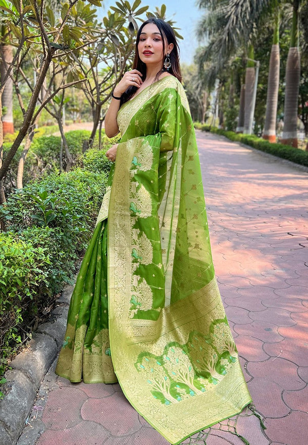 Beauteous Green Color Organza Fabric Partywear Saree