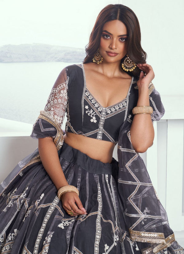 Pleasing Grey Color Net Fabric Party Wear Lehenga