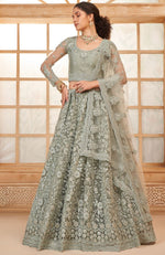 Beautiful Grey Color Net Fabric Party Wear Lehenga