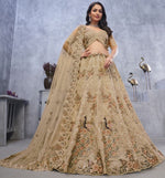 Lovely Beige Color Net Fabric Party Wear Lehenga