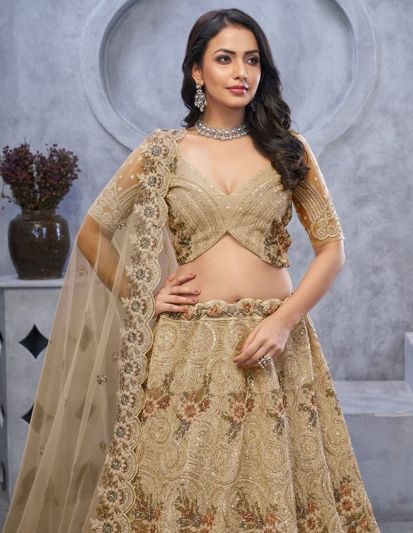 Lovely Beige Color Net Fabric Party Wear Lehenga