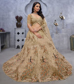 Lovely Beige Color Net Fabric Party Wear Lehenga