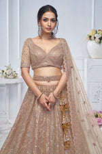 Lovely Beige Color Net Fabric Party Wear Lehenga