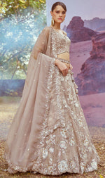 Elegant Beige Color Organza Fabric Party Wear Lehenga