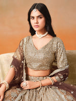 Striking Brown Color Georgette Fabric Party Wear Lehenga