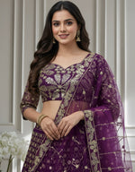 Beautiful Wine Color Net Fabric Party Wear Lehenga