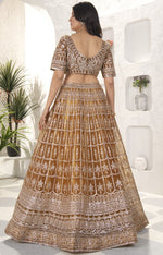 Beautiful Brown Color Net Fabric Party Wear Lehenga