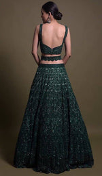 Pretty Green Color Net Fabric Party Wear Lehenga