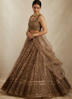 Amazing Brown Color Net Fabric Party Wear Lehenga