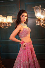 Elegant Pink Color Net Fabric Party Wear Lehenga