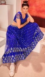 Lovely Blue Color Net Fabric Party Wear Lehenga