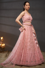 Superb Pink Color Net Fabric Party Wear Lehenga