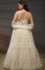 Superb Cream Color Net Fabric Party Wear Lehenga