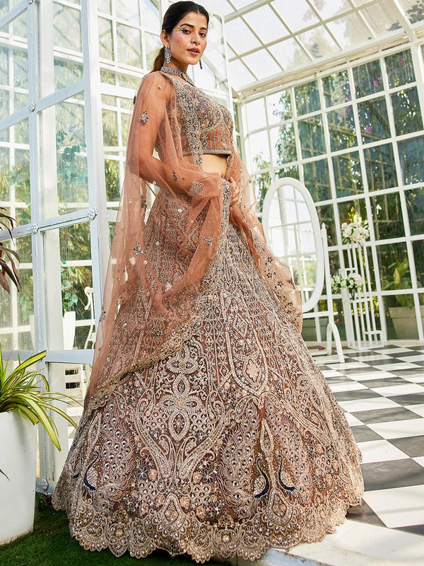 Amazing Brown Color Net Fabric Party Wear Lehenga