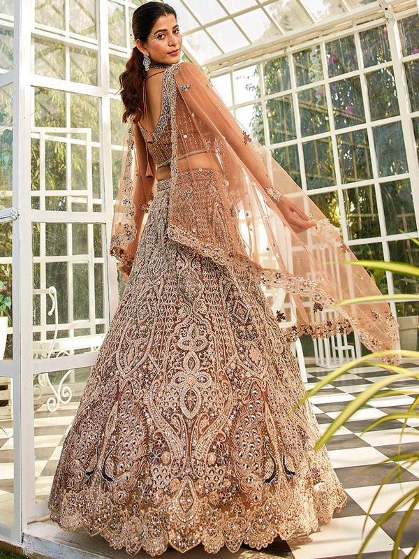 Amazing Brown Color Net Fabric Party Wear Lehenga