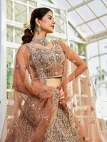 Amazing Brown Color Net Fabric Party Wear Lehenga