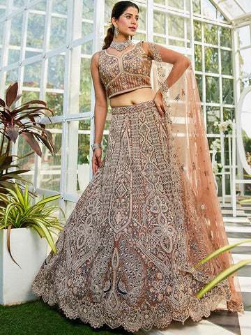 Amazing Brown Color Net Fabric Party Wear Lehenga