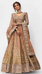 Amazing Brown Color Net Fabric Party Wear Lehenga