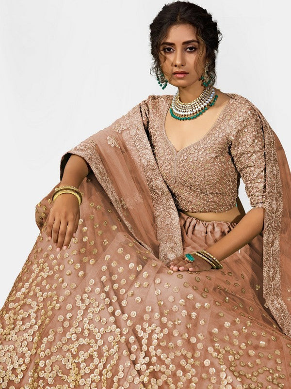Amazing Brown Color Net Fabric Party Wear Lehenga
