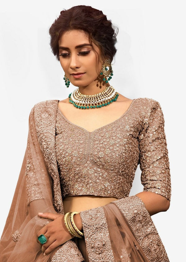 Amazing Brown Color Net Fabric Party Wear Lehenga