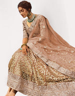 Amazing Brown Color Net Fabric Party Wear Lehenga