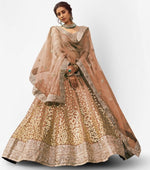 Amazing Brown Color Net Fabric Party Wear Lehenga