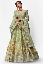 Amazing Green Color Net Fabric Party Wear Lehenga