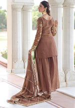 Beauteous Brown Color Fandy Fabric Sharara Suit