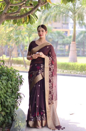 Lovely Wine Color Cotton Fabric Casual Saree